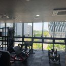 메이크바디 네이버블로그