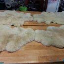 세탁천재 이미지