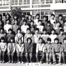 궁항초등학교 이미지