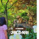 전라도여행 아이와가볼만한곳 구례 수목원