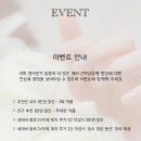 원피드캠 네이버블로그