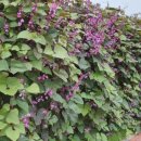 구라리경로당 이미지