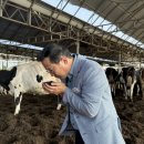 안성목장 2농장 이미지