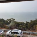 파인트리카페