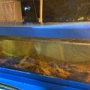 꾸어바666 이미지