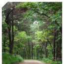 이기대공원(큰고개쉼터) 이미지