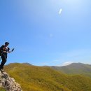 거창-주상-7 이미지