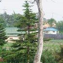 용산-32 티스토리