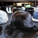 신설동사람들 이미지