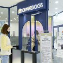 펫아울렛 이미지