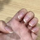 자석수제네일 &#39;봄봄이&#39; 네일팁추천