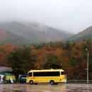 금산분소주차장 이미지
