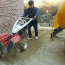 업성초등학교병설유치원 이미지