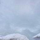 드림몽돌하우스 이미지