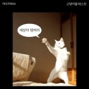 현대찜닭 이미지