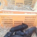 아부지농장 이미지