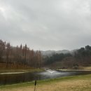 느티나무사우나 | 가평 아난티cc 초겨울 라운딩 골린이 후기 | 단체 20명 5팀 느티나무/자작나무 코스