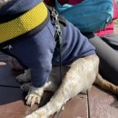 태동농장 이미지