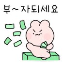 자메이카모터스