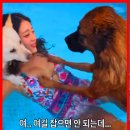 조이휘트니스 이미지