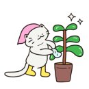 월수금;꽃