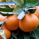 민철농장 이미지