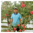 부인농원 이미지