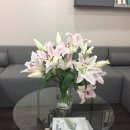 인우당한의원 이미지