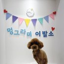 멍그라미 이발소 이미지