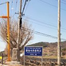 홍농서초등학교 이미지