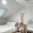 댕댕포레스트 이미지