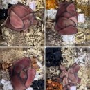 구)한의원 앞 이미지