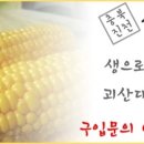 선화농장 이미지