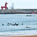 제주도 아니다? 국내 여행지 1위는 바로... 이미지