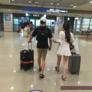 피케이소프트 이미지