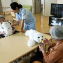 ​인구 고령화 시대, 세계가 직면한 도전과 대응 전략! 이미지