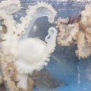 천사수산 이미지