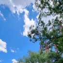 힐링스테이 우드밸리 이미지