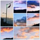 청양쭈꾸미 | 청양 여행 행복한 쭈꾸미와 갑오징어 방문 후기.