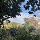 빈도롱이 | 제주도 2월 여행 | 제주 빈도롱이 숙소 | 자쿠지 숙소 추천 | 제주도 또갈집 맛집추천