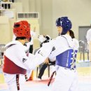 강진태권도체육관 이미지