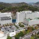 성가롤로병원 뉴시스