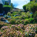 레드우드 휘트니스 이미지