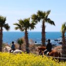 승마체험코스 이미지