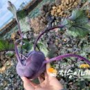 지승푸드