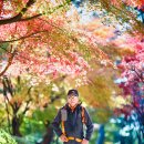 금강공원4 이미지