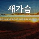 가슴뼈 돌출 새가슴, 함몰 오목가슴 (뜻, 보조기, 교정 치료 수술) 이미지