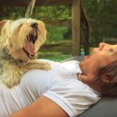 쇼미더펫 이미지