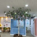 더키즈아트미술학원