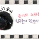 살롱드시영